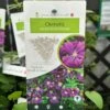 Clematis 'Etoile Violette' Climber 3Ltr Pot 2 Clematis 'Etoile Violette' Climber 3Ltr Pot -Garden Care 30198710