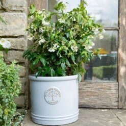 Woodlodge 38cm White / Cream Glazed Heritage Cylinder Pot 8 Woodlodge 38cm White / Cream Glazed Heritage Cylinder Pot -Garden Care 5021346424430