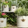 Woodlodge 29cm Wisteria Bee Cylinder Planter -Garden Care 5021346427110 fa3cfc22 6889 45d8 b39f c047370bf042