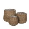 Woodlodge Sencha Wicker Baskets -Garden Care 5021346444162