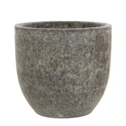 Woodlodge 21cm Round Rustic Fuji Egg Pot 9 Woodlodge 21cm Round Rustic Fuji Egg Pot -Garden Care 5021346502220 4