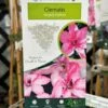 Clematis 'Hagley Hybrid' Climber 2Ltr Pot -Garden Care 5025338000619 3c5076d3 c701 4377 881b 7a0362c52d0b