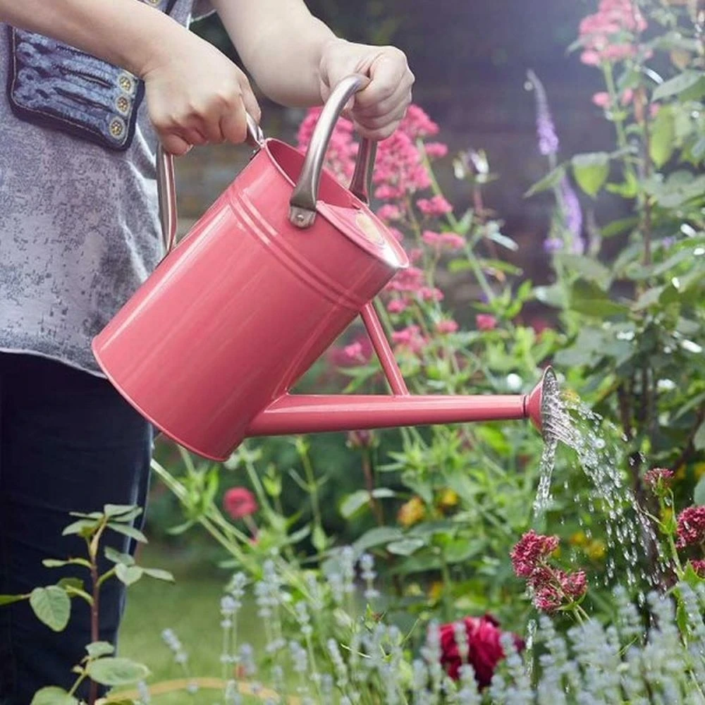 Smart Garden 9 Litre Galvanised Steel Watering Can 4 Smart Garden 9 Litre Galvanised Steel Watering Can - Image 2