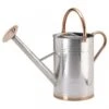 Smart Garden 9 Litre Galvanised Steel Watering Can -Garden Care 5050642047234 2302db94 df29 471a b2b0 3be02c85f72a