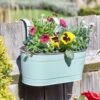 Smart Garden 30cm (12") Sage Fence & Balcony Hanging Planter -Garden Care 5050642049757