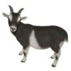 Vivid Arts 29cm Standing Goat- XRL-GOAT-D 1 Vivid Arts 29cm Standing Goat- XRL-GOAT-D -Garden Care 5055195017475