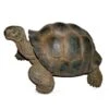 Vivid Arts 27cm Giant Tortoise -XRL-GTRT-D -Garden Care 5055195018816