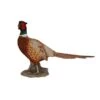 Vivid Arts 52cm Pheasant - XRL-NT04 2 Vivid Arts 52cm Pheasant - XRL-NT04 -Garden Care 5055195020789 7ad3e4d2 7c33 4dad b878 58606602649f