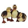 Vivid Arts 23cm Standing Duckling Group - NF-DK26-D -Garden Care 5055195023674