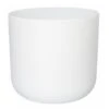 Ivyline 26cm White Lisbon Planter 1 Ivyline 26cm White Lisbon Planter -Garden Care 5055352842261 41bae334 94d4 4f2e 9369 0149da4f2e87