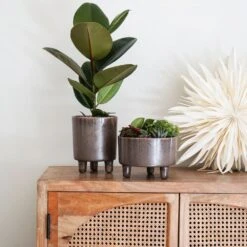 Ivyline 19cm Mocha Pisa Bowl Indoor Houseplant Pot -Garden Care 5055352850235 3