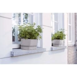 Elho 50cm Living Concrete Greenvillle Long Trough Planter -Garden Care 8711904358440 4