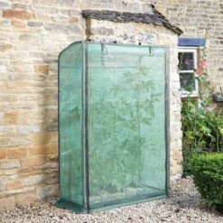 Smart Garden Tomato Grow Zone -Garden Care grozone tomato growhouse lifestyle 2