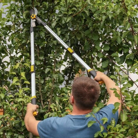 TOUGH MASTER Telescopic Tree Pruner Bypass Lopper Anvil Lopper Lightweight Extendable 5 TOUGH MASTER Telescopic Tree Pruner Bypass Lopper Anvil Lopper Lightweight Extendable - Image 3