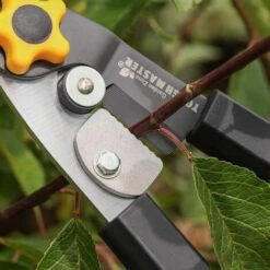 TOUGH MASTER Telescopic Tree Pruner Bypass Lopper Anvil Lopper Lightweight Extendable 10 TOUGH MASTER Telescopic Tree Pruner Bypass Lopper Anvil Lopper Lightweight Extendable -Garden Care 36295442 4