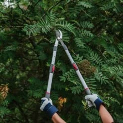 Kent & Stowe Tele Handle Telescopic Bypass Lopper Pruner Cutter 65cm-90cm -Garden Care 53314668 3