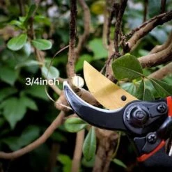 Professional 8 Inches Premium Titanium Bypass Pruning Shears, Premium Utility Garden Clippers Scissors Sponge Handle Protector,Tree Trimmers Secateurs Hand Pruners -Garden Care 58225932 4