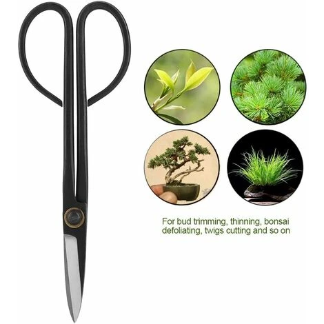 Bonsai Trimmer 8.07 Inch Long Handle Leaf Bud Scissors Bonsai Styling Tools Gardening Pruners Pruning Tools Gardening Equipment 5 Bonsai Trimmer 8.07 Inch Long Handle Leaf Bud Scissors Bonsai Styling Tools Gardening Pruners Pruning Tools Gardening Equipment - Image 3