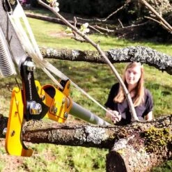 Telescopic Pruner Head SWAN 310 Mm GRÜNTEK -Garden Care 85764936 5