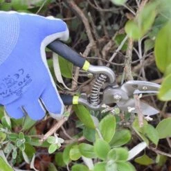 Spear & Jackson Gift Set, Traditional Vintage Secateurs, Kew Gardens Tool Range -Garden Care 89268603 3