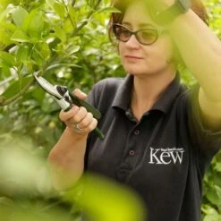 Spear & Jackson Bypass Secateurs, Razorsharp, Heavy Duty, Kew Gardens Range -Garden Care 89268605 4