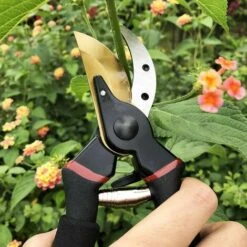 Garden Shears With Straight Steel And Titanium Blades. Flower Scissors Cut By Bypassing Dry Wood. Ergonomic Handle -Garden Care 90739191 5