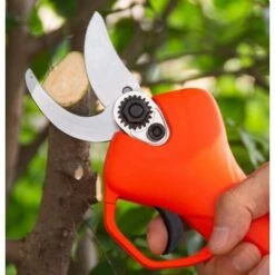 Battery Operated Pruner, Electric Pruner Cordless Electric Branch Scissors With Brushless Motor Pack Of 1 Rechargeable 2Ah Lithium, 25mm Cutting Diameter (Orange) 10 Battery Operated Pruner, Electric Pruner Cordless Electric Branch Scissors With Brushless Motor Pack Of 1 Rechargeable 2Ah Lithium, 25mm Cutting Diameter (Orange) -Garden Care 93292542 4