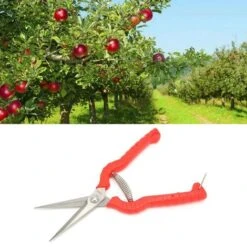 Pruning Shears, Trimming Scissors Bonsai Tools For Home Garden Yard Farm 10 Pruning Shears, Trimming Scissors Bonsai Tools For Home Garden Yard Farm -Garden Care 98858858 4