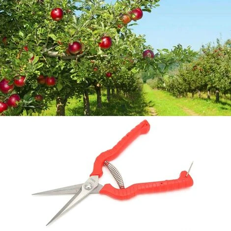 Pruning Shears, Trimming Scissors Bonsai Tools For Home Garden Yard Farm 6 Pruning Shears, Trimming Scissors Bonsai Tools For Home Garden Yard Farm - Image 4